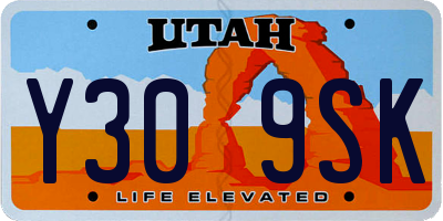 UT license plate Y309SK