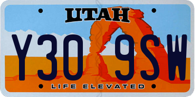 UT license plate Y309SW