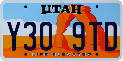 UT license plate Y309TD