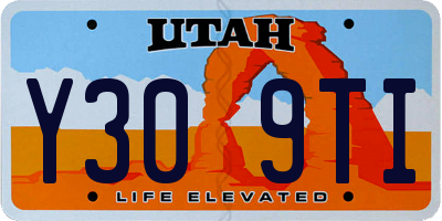 UT license plate Y309TI