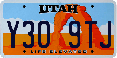 UT license plate Y309TJ