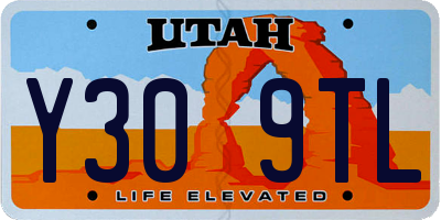 UT license plate Y309TL