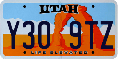 UT license plate Y309TZ