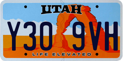 UT license plate Y309VH