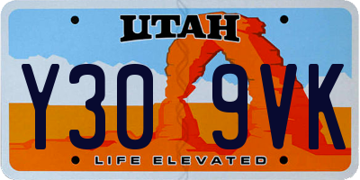 UT license plate Y309VK