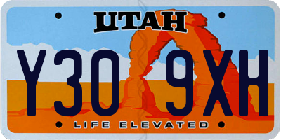 UT license plate Y309XH
