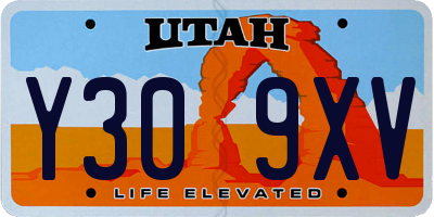 UT license plate Y309XV