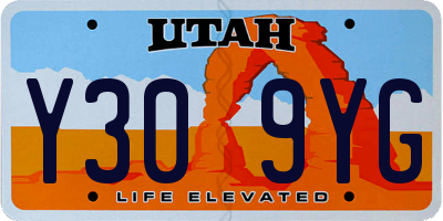 UT license plate Y309YG