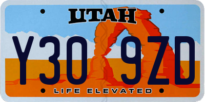 UT license plate Y309ZD
