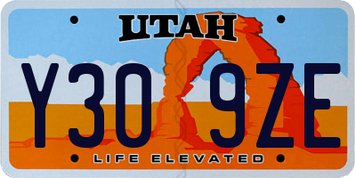 UT license plate Y309ZE