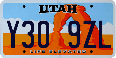 UT license plate Y309ZL