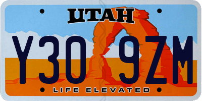 UT license plate Y309ZM