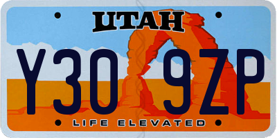 UT license plate Y309ZP