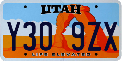 UT license plate Y309ZX