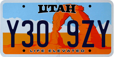UT license plate Y309ZY