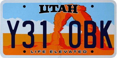 UT license plate Y310BK