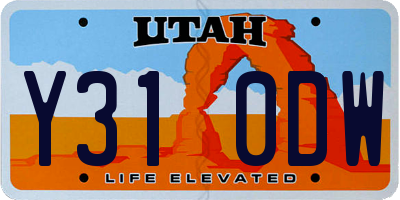 UT license plate Y310DW