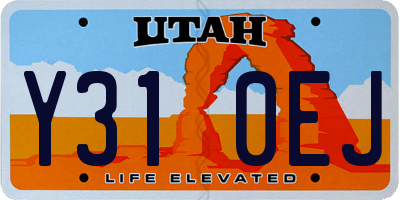UT license plate Y310EJ