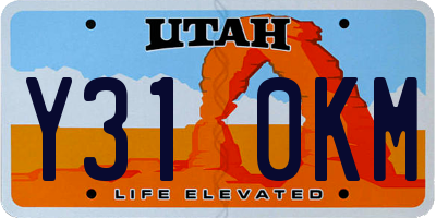 UT license plate Y310KM