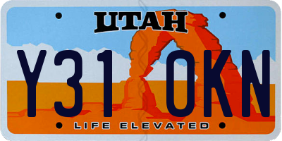 UT license plate Y310KN