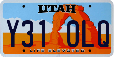 UT license plate Y310LQ