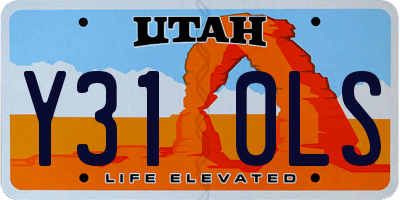 UT license plate Y310LS