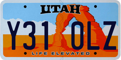UT license plate Y310LZ