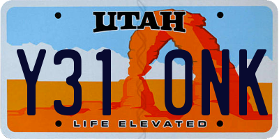 UT license plate Y310NK