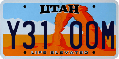 UT license plate Y310OM