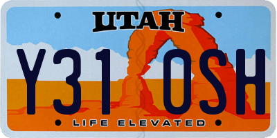 UT license plate Y310SH