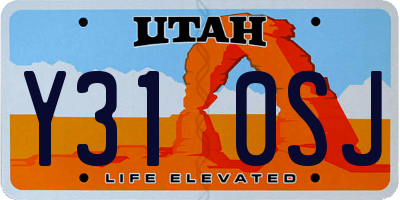 UT license plate Y310SJ