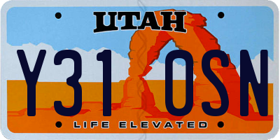 UT license plate Y310SN
