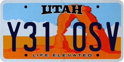 UT license plate Y310SV