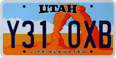 UT license plate Y310XB