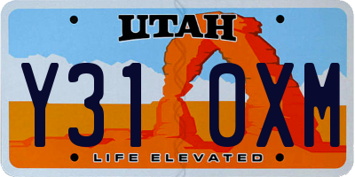 UT license plate Y310XM
