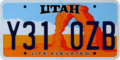 UT license plate Y310ZB