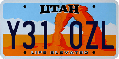 UT license plate Y310ZL