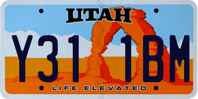 UT license plate Y311BM