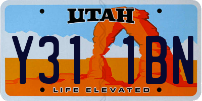 UT license plate Y311BN