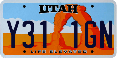 UT license plate Y311GN