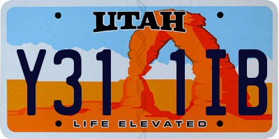 UT license plate Y311IB