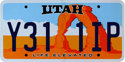 UT license plate Y311IP
