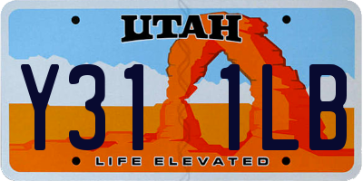 UT license plate Y311LB