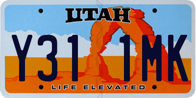 UT license plate Y311MK