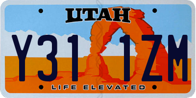 UT license plate Y311ZM
