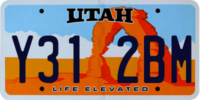 UT license plate Y312BM