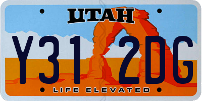 UT license plate Y312DG