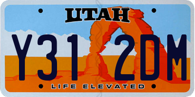 UT license plate Y312DM