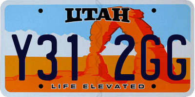 UT license plate Y312GG