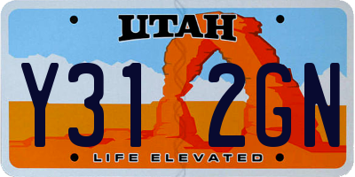 UT license plate Y312GN